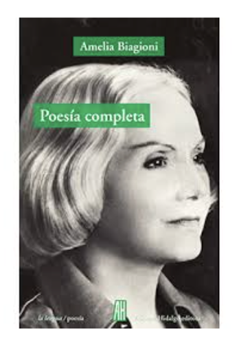 Poemas iluminados Amelia Biagioni “León”